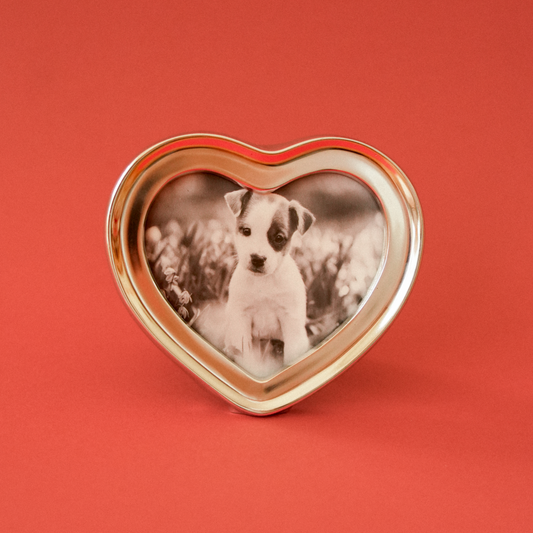 Classic frame series