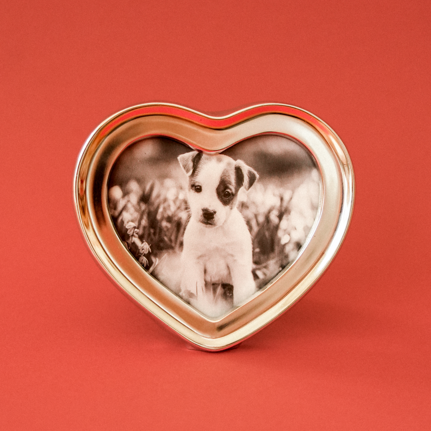 Classic frame series