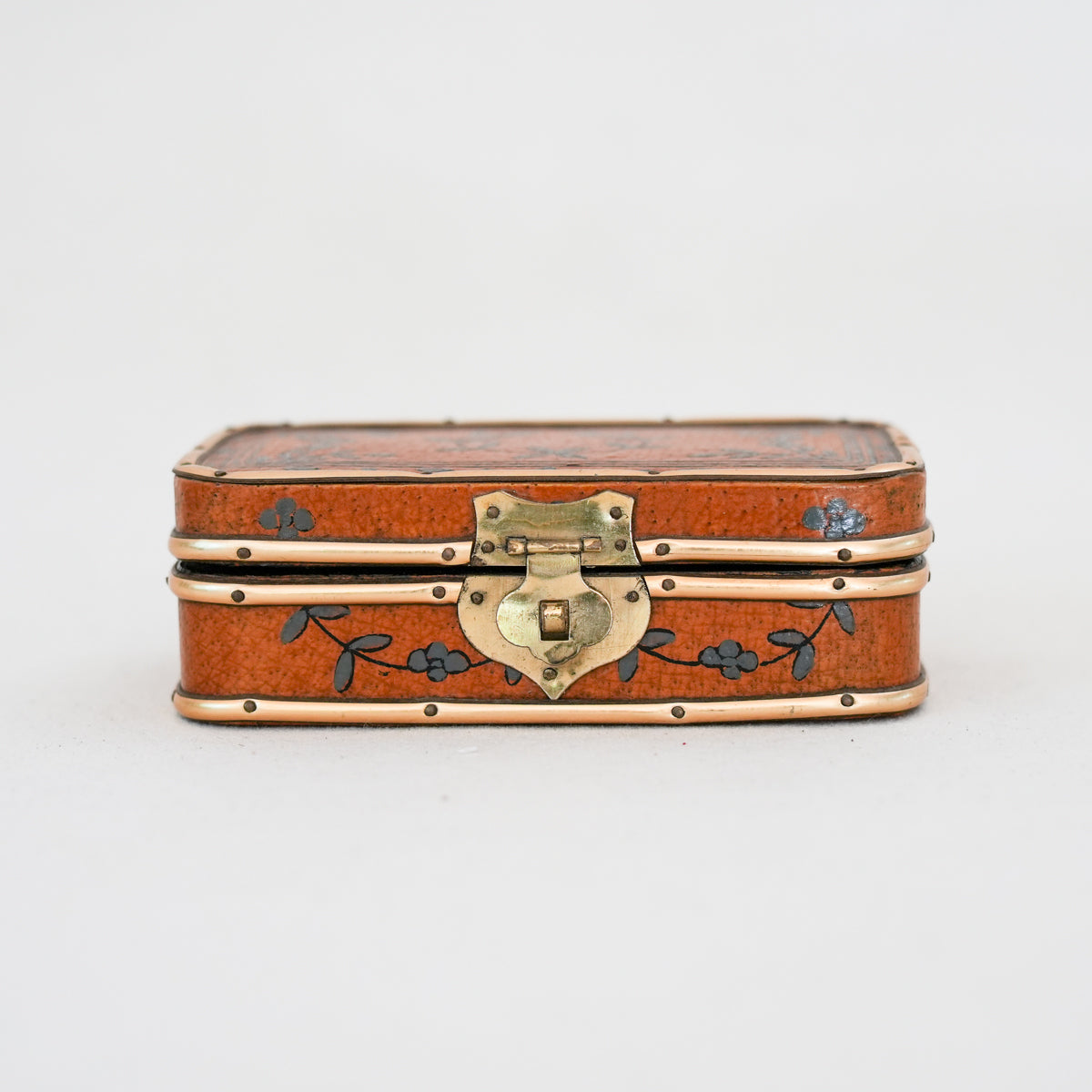 Vintage Leather and Brass Painted Box